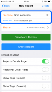 site_report_create_report_enter_filename